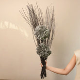 Zinia Black Lady Bunch